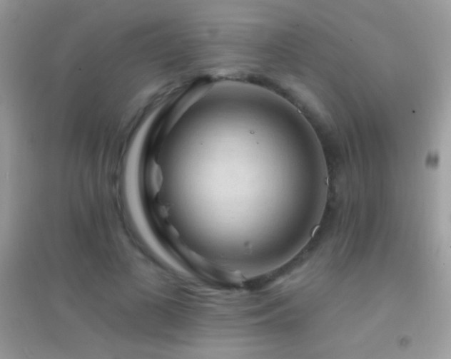 X0000095110693200712071217