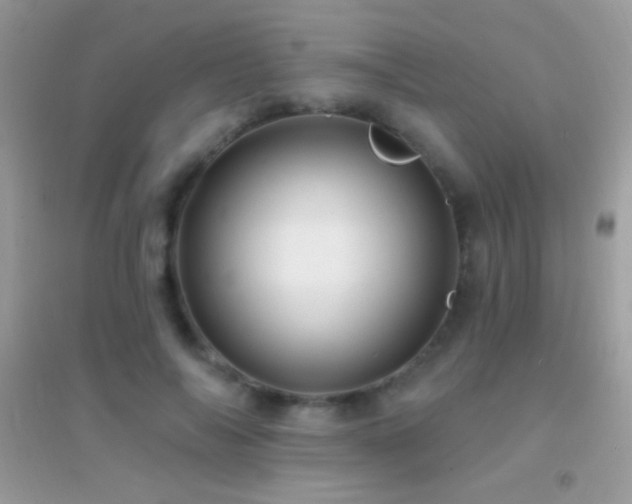 X0000095110694200712071217