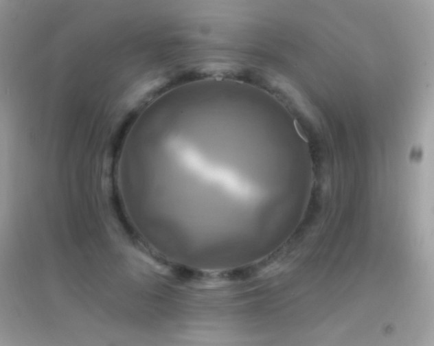 X0000095110696200712071217