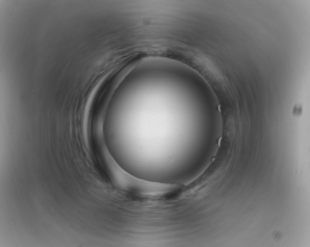 X0000095110697200712071217