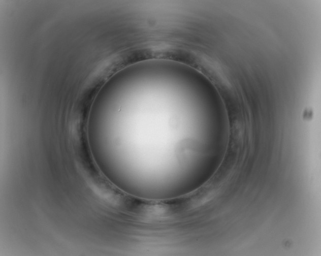 X0000095110698200712071217