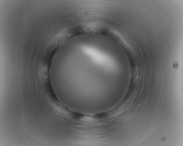 X0000095110699200712071217