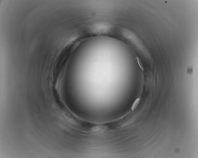 X0000095110700200712071217