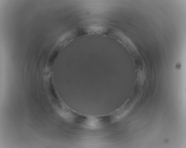 X0000095110701200712071217