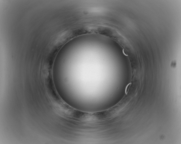 X0000095110702200712071217