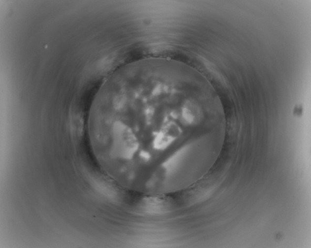 X0000095110703200712071217