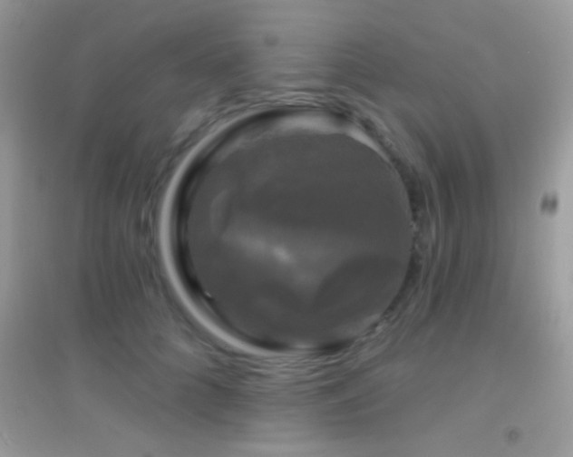 X0000095110704200712071217