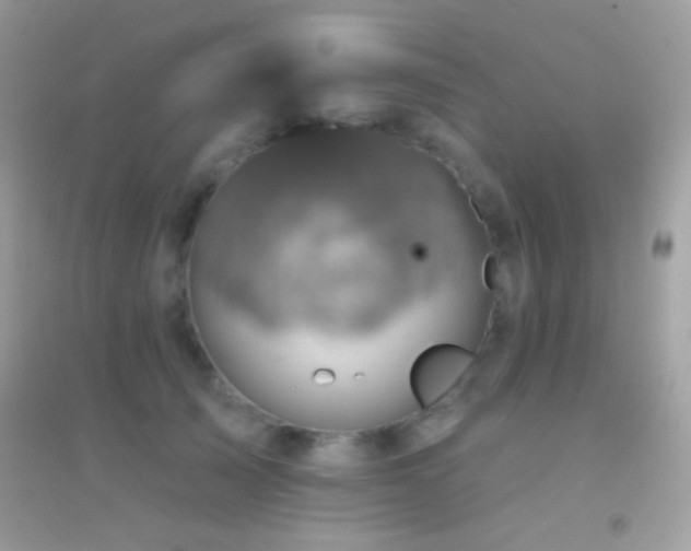 X0000095110705200712071217