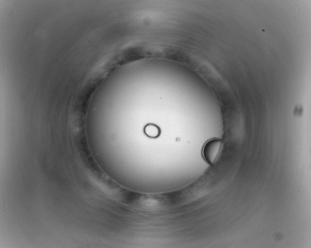 X0000095110706200712071217