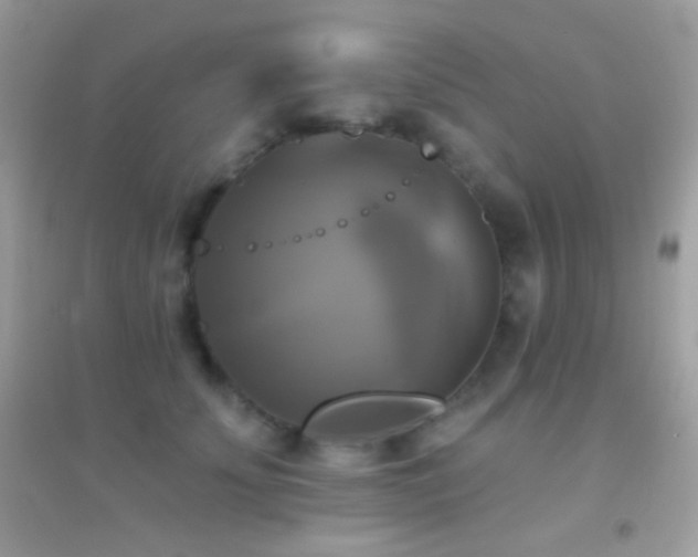 X0000095110707200712071217