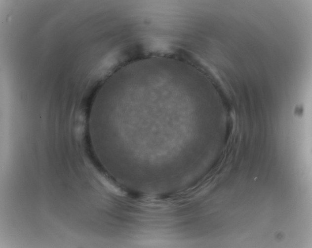 X0000095110708200712071217