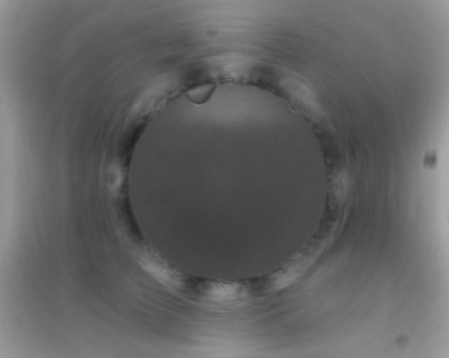 X0000095110709200712071217