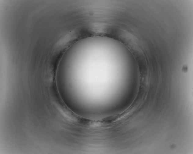 X0000095110710200712071217