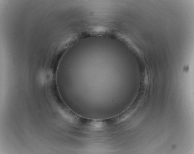 X0000095110711200712071217