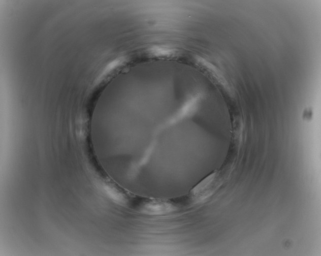 X0000095110712200712071217