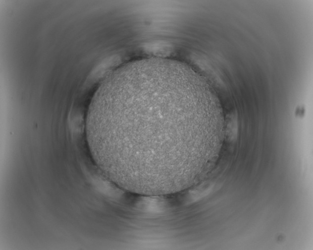 X0000095110713200712071217