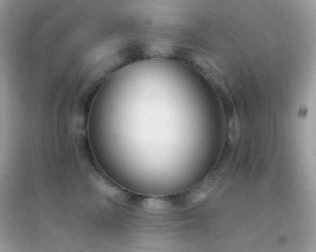 X0000095110714200712071217