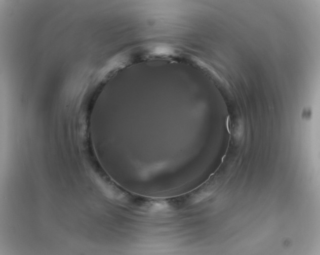 X0000095110715200712071217