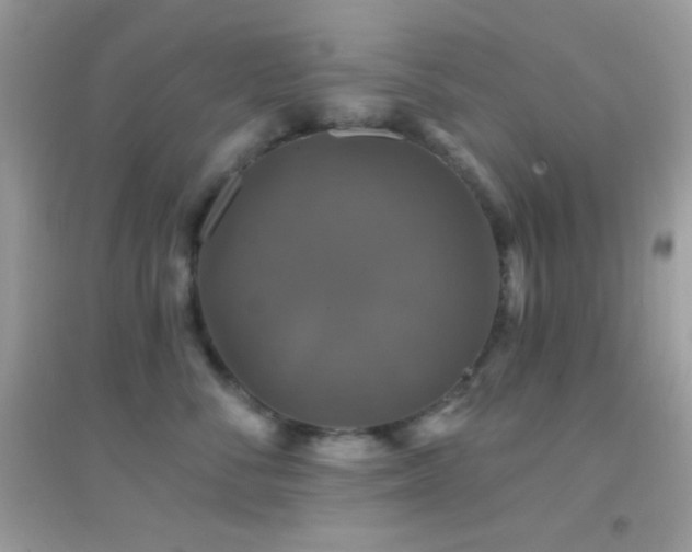 X0000095110716200712071217