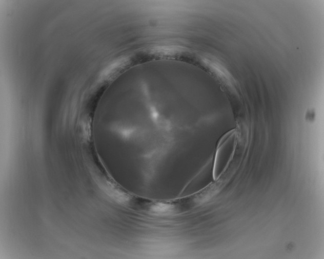 X0000095110718200712071217