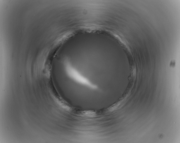 X0000095110719200712071217