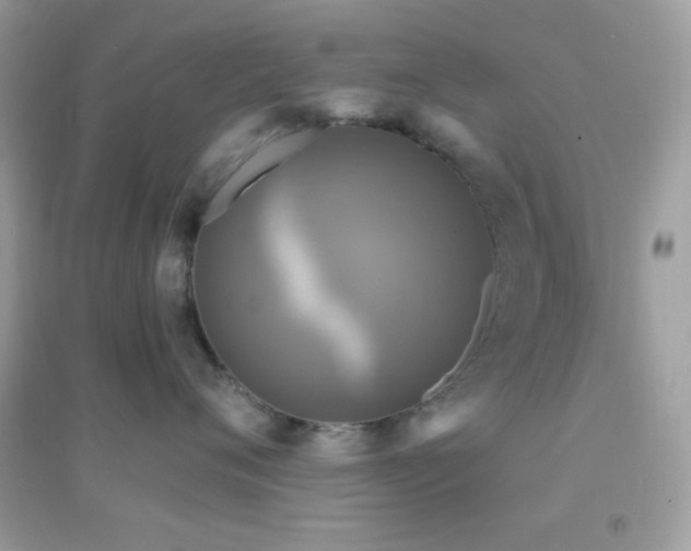 X0000095110720200712071217