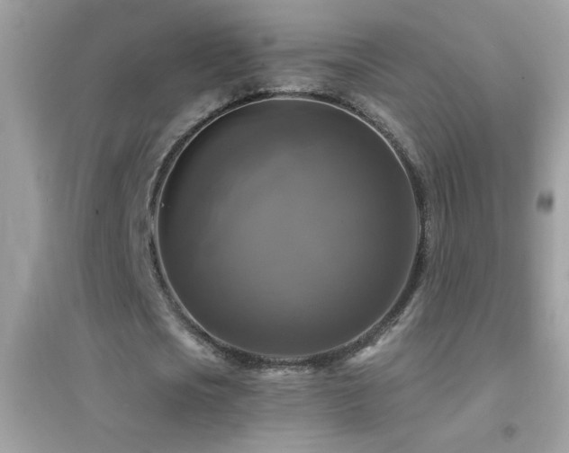 X0000095110721200712071216