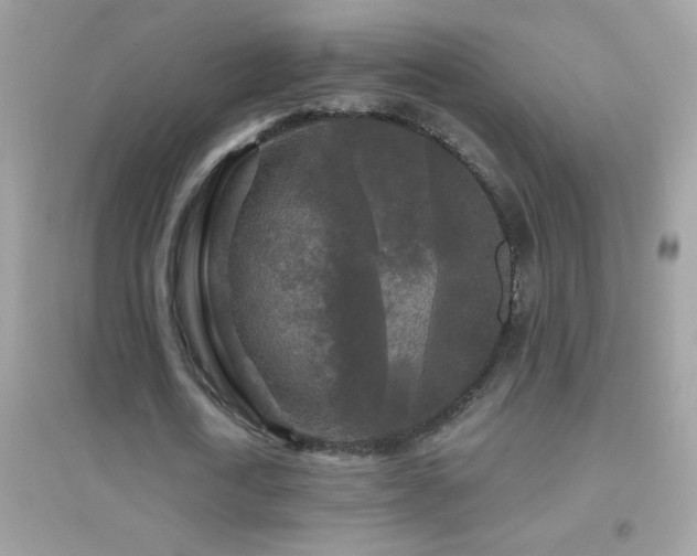 X0000095110722200712071216