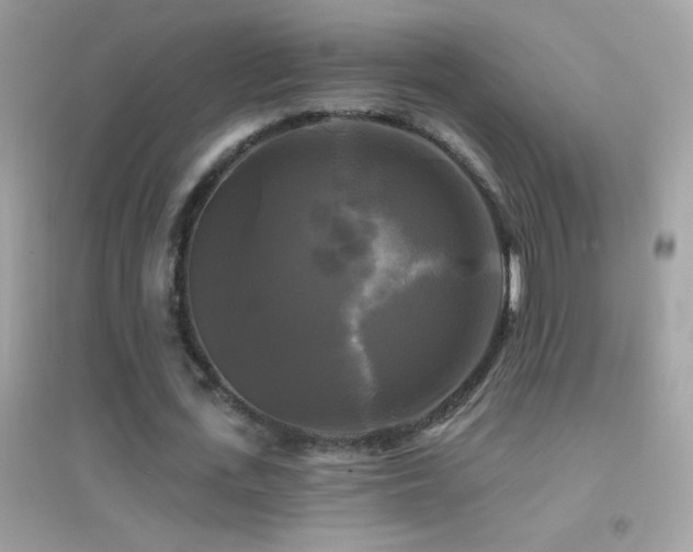 X0000095110723200712071216