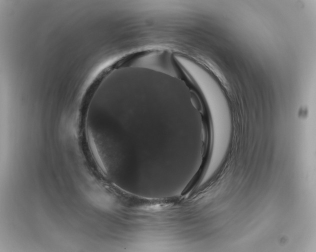 X0000095110724200712071216