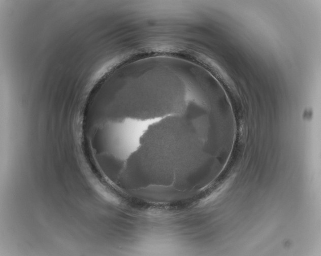 X0000095110725200712071216