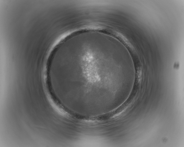 X0000095110726200712071216