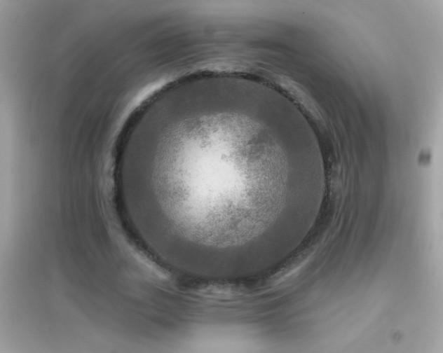 X0000095110727200712071216