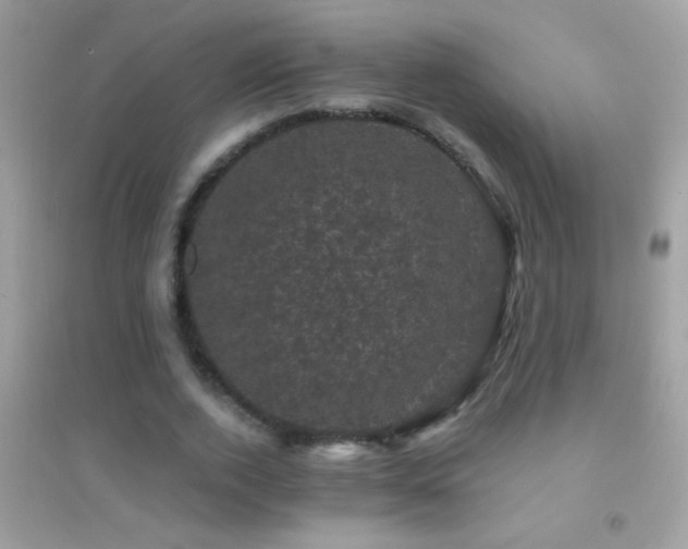 X0000095110728200712071216