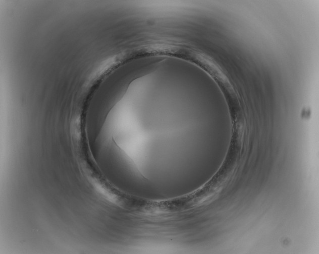 X0000095110729200712071216