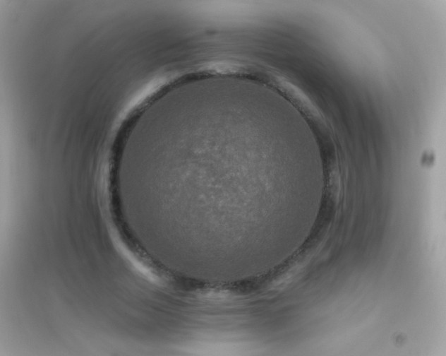 X0000095110730200712071216