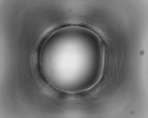 X0000095110731200712071216