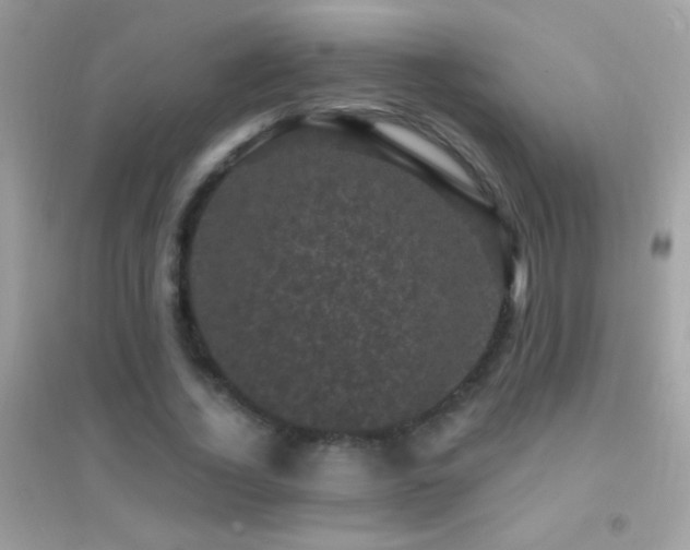 X0000095110732200712071217