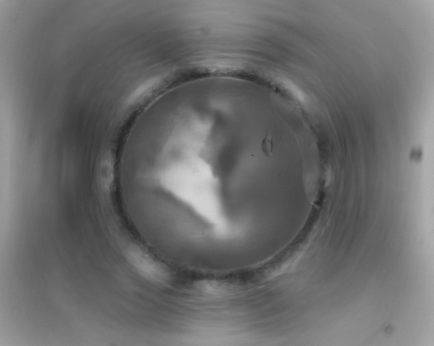 X0000095110733200712071217