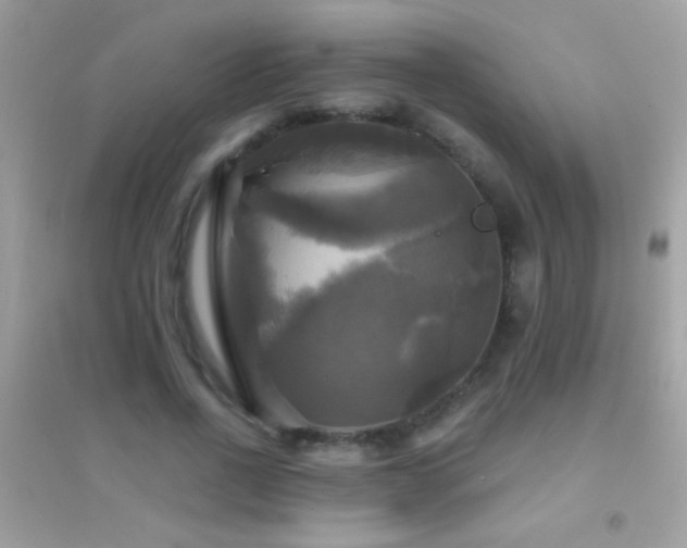 X0000095110734200712071217