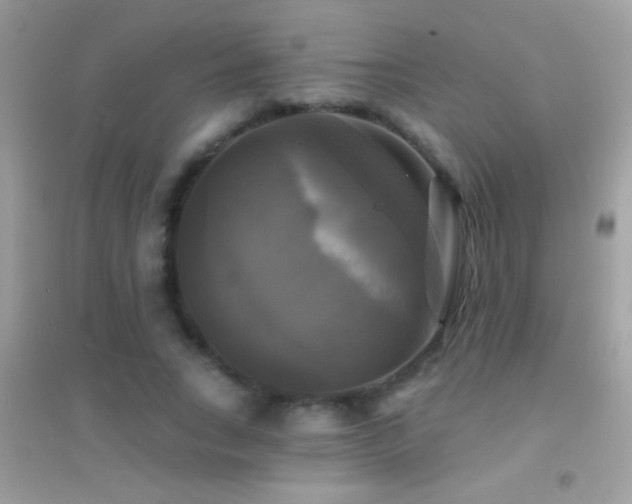 X0000095110735200712071217