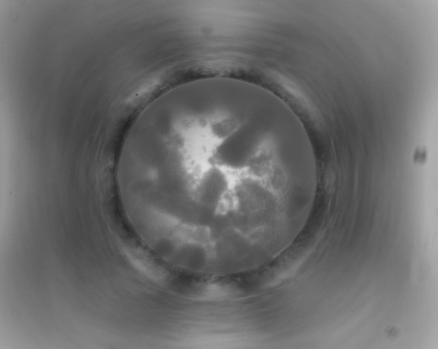 X0000095110737200712071217