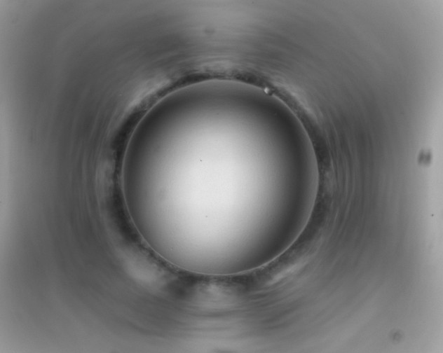 X0000095110739200712071217