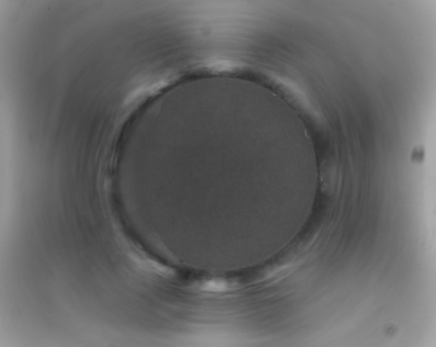 X0000095110740200712071217