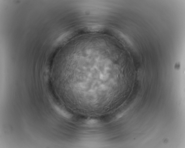 X0000095110741200712071217