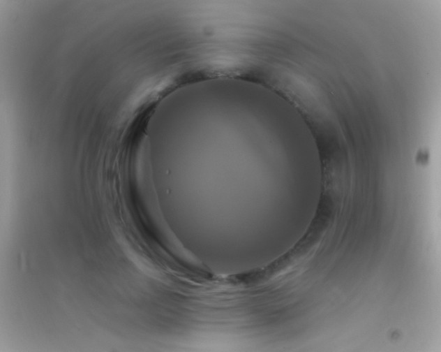 X0000095110742200712071217