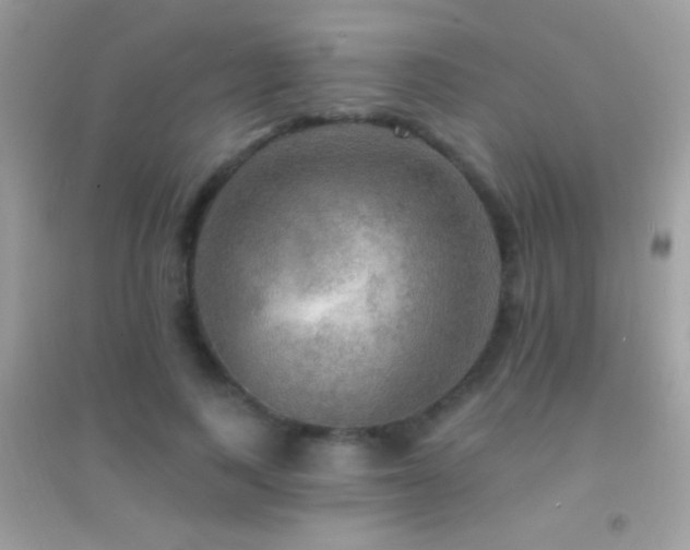 X0000095110743200712071217