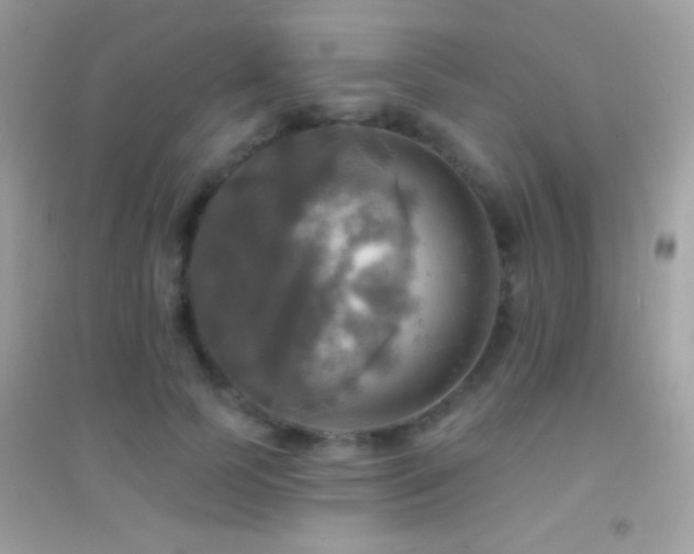 X0000095110745200712071217