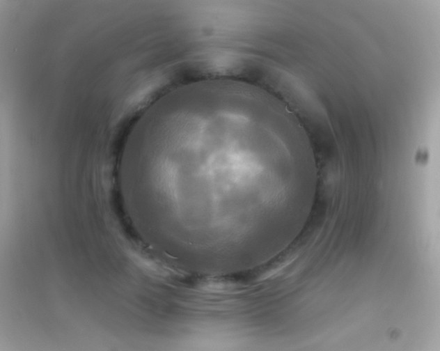 X0000095110746200712071217