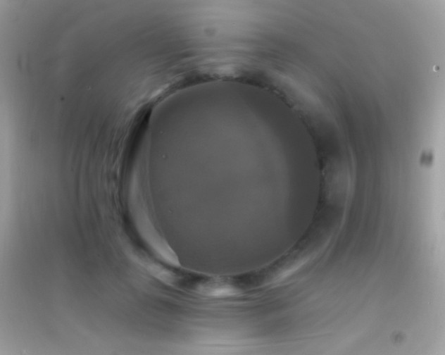 X0000095110747200712071217